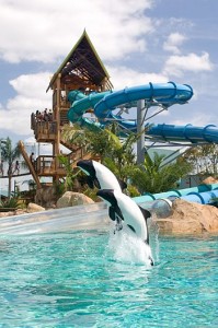 water parks in Florida Aquatica Orlando