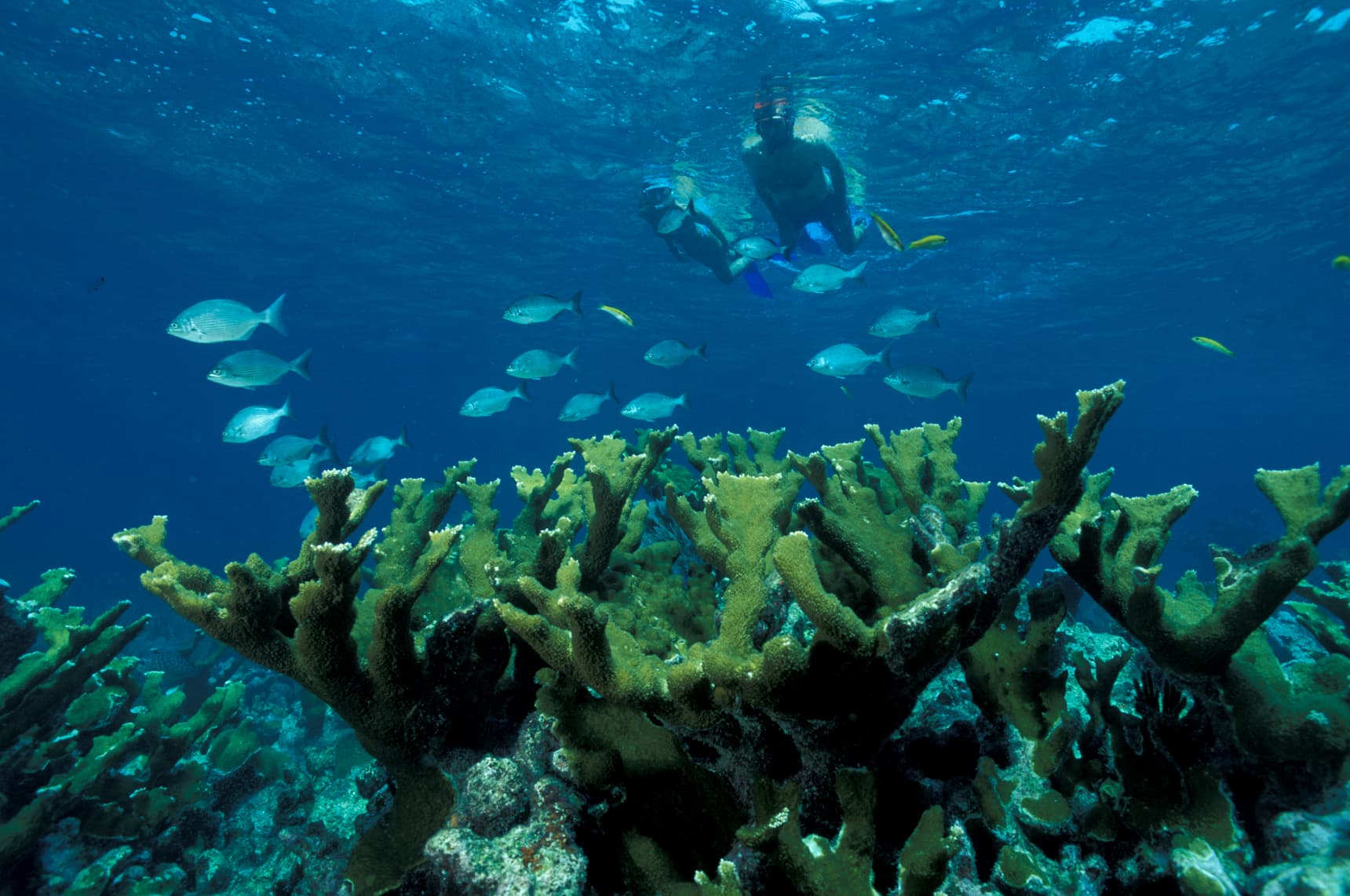 Pirate's Bay Water Park water park