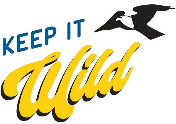 Wild Mountain Waterslides water park