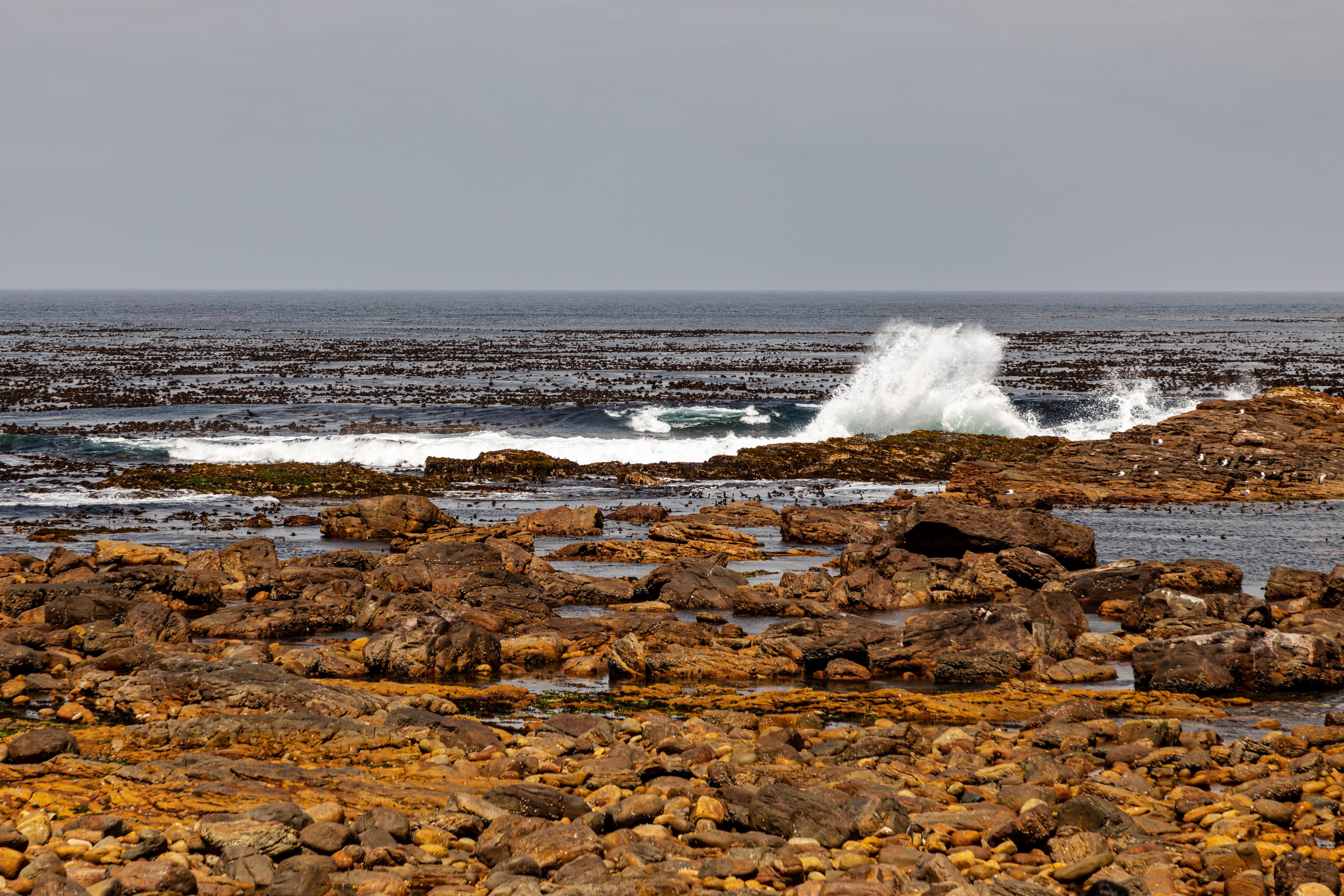 Splash Mountain water park