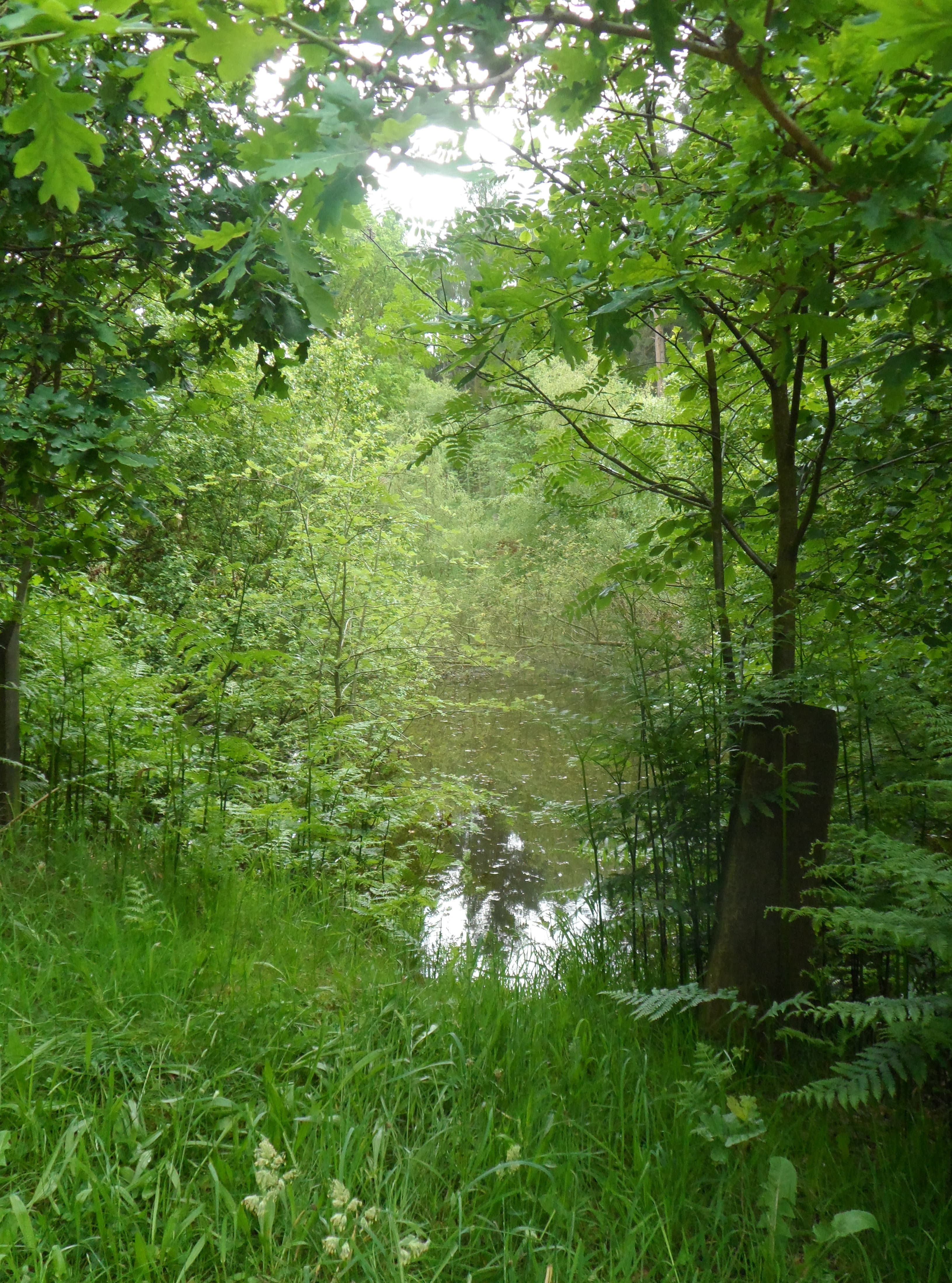 Seven Springs Water Park water park